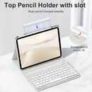 Drivego Detachable Bluetooth Keyboard Cover for iPad A16 11th/10th Genration (2025/2022 11/10.9 Inch)