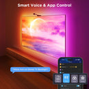 Govee Envisual 55''-65'' TV Backlight 3s  H6098 (Netflix Edition)