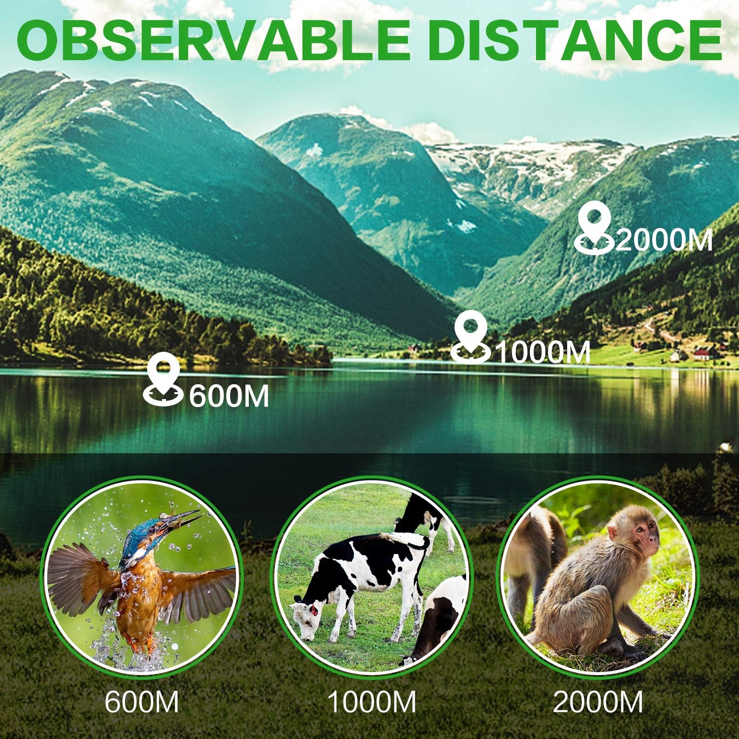 Pankoo High Powered 16X52 Monocular Telescope for Adults - 2025 Power Prism, Compact HD Scope, Suitable for Gifts, Outdoor Activities, Concert, Travelling & Bird Watching
