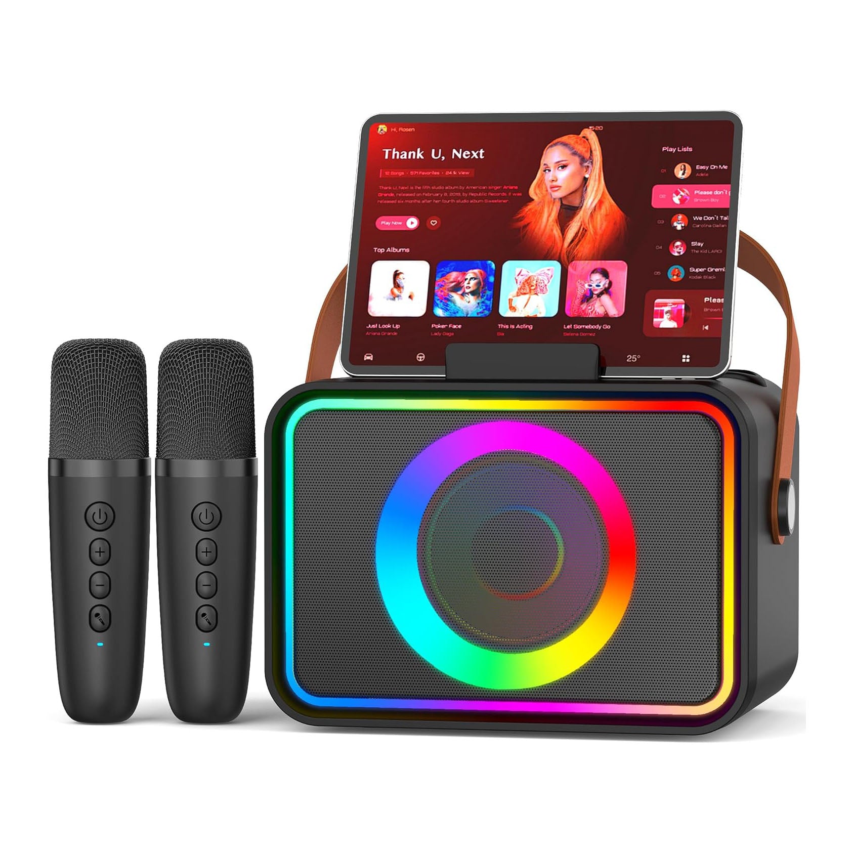 Portable Bluetooth Speaker with 2 Wireless Microphone for Adults & Kids with LED Lights, Karaoke Microphone Machine with PA System Supports USB/TF/AUX,Gift for Party (Black)